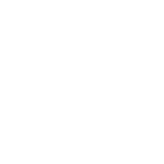 LNF_logo_stck